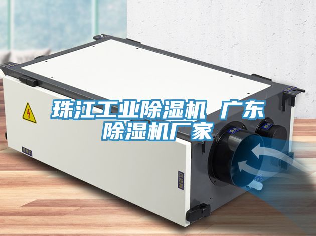 珠江工业猫咪成人官网 广东猫咪成人官网厂家