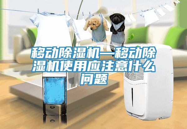 移动猫咪成人官网—移动猫咪成人官网使用应注意什么问题