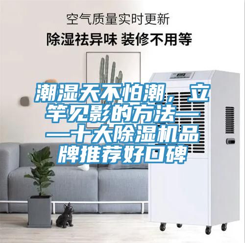 潮湿天不怕潮，立竿见影的方法——十大猫咪成人官网品牌推荐好口碑