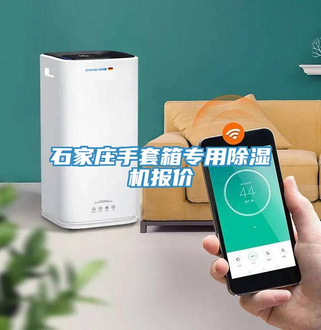 石家庄手套箱专用猫咪成人官网报价