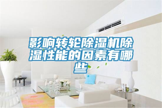 影响转轮猫咪成人官网除湿性能的因素有哪些