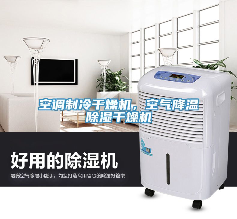 空调制冷干燥机，空气降温除湿干燥机