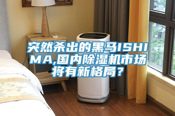 突然杀出的黑马ISHIMA,国内猫咪成人官网市场将有新格局？