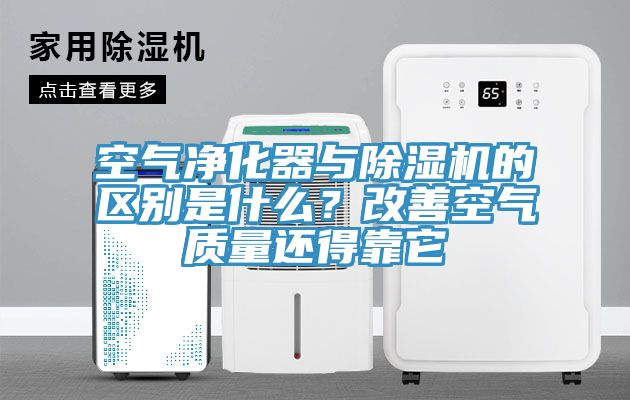 空气净化器与猫咪成人官网的区别是什么？改善空气质量还得靠它