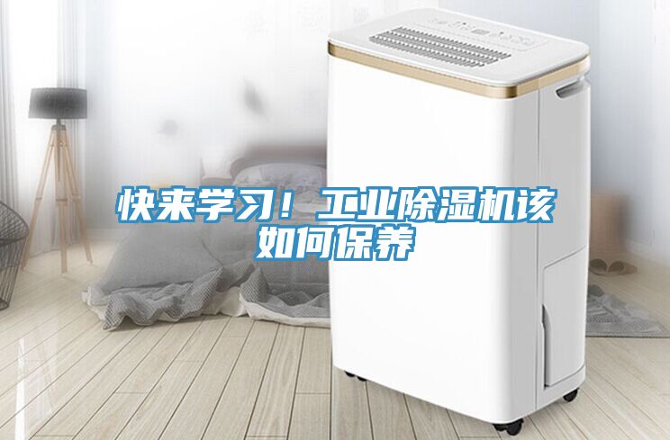 快来学习！工业猫咪成人官网该如何保养