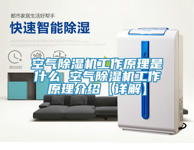 空气猫咪成人官网工作原理是什么 空气猫咪成人官网工作原理介绍【详解】