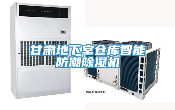 甘肃地下室仓库智能防潮猫咪成人官网