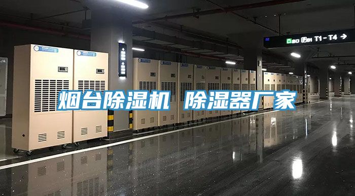 烟台猫咪成人官网 除湿器厂家