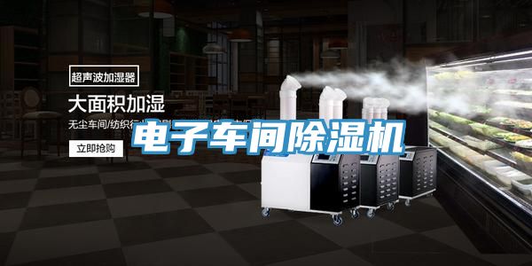 电子车间猫咪成人官网