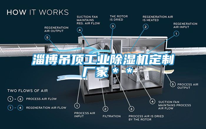 淄博吊顶工业猫咪成人官网定制 厂家＊＊