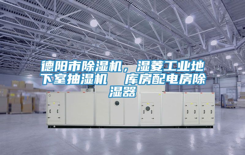 德阳市猫咪成人官网，湿菱工业地下室抽湿机  库房配电房除湿器