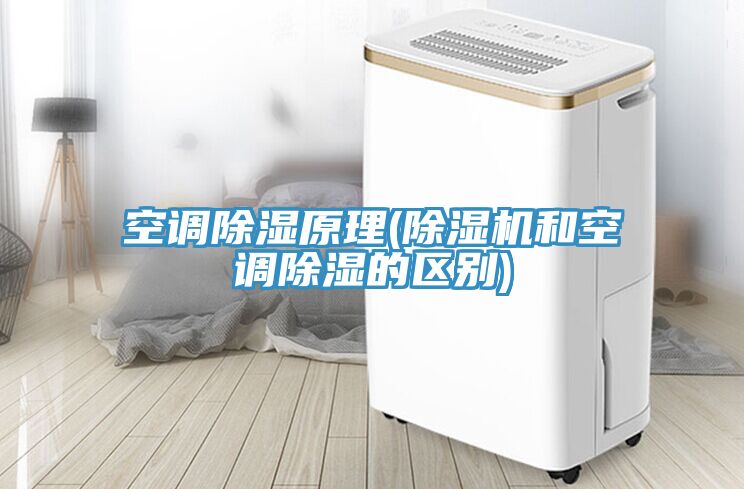 空调除湿原理(猫咪成人官网和空调除湿的区别)