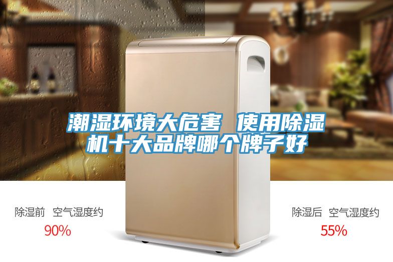 潮湿环境大危害 使用猫咪成人官网十大品牌哪个牌子好