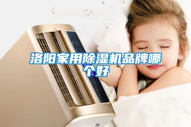洛阳家用猫咪成人官网品牌哪个好