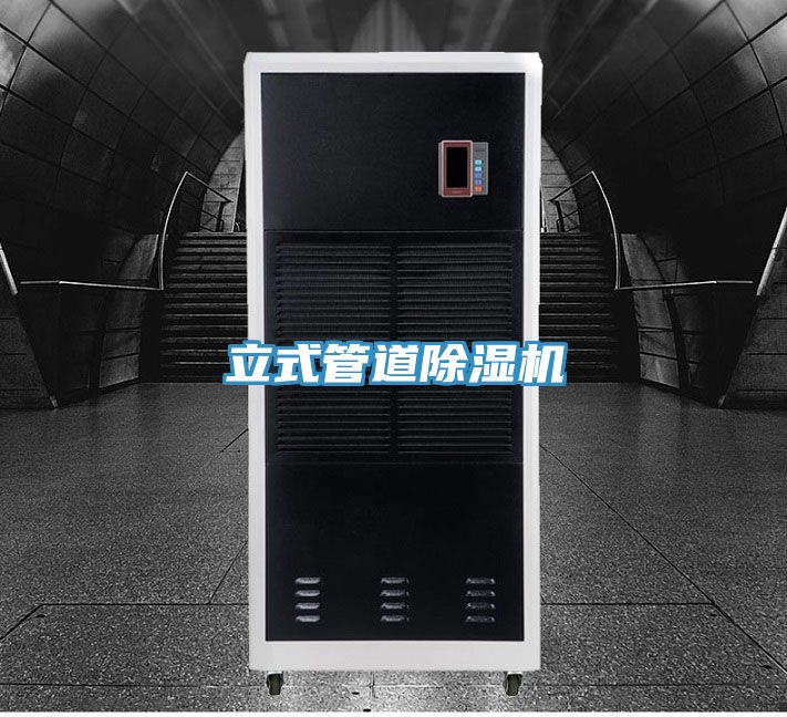 立式管道猫咪成人官网