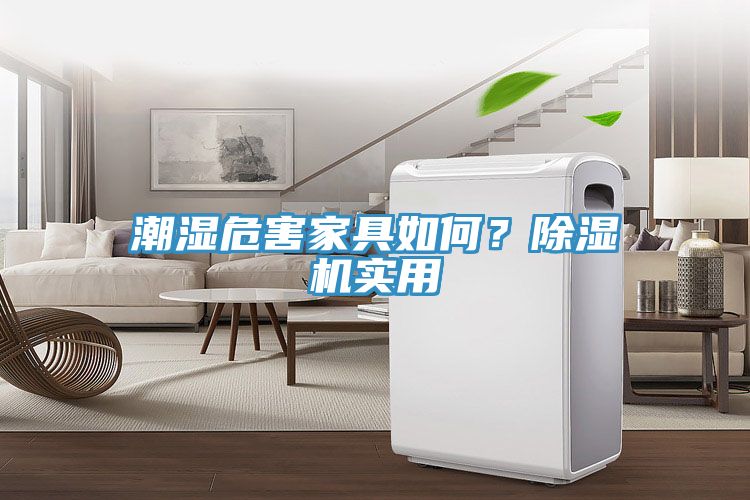 潮湿危害家具如何？猫咪成人官网实用
