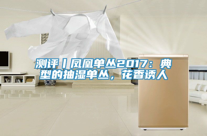 测评丨凤凰单丛2017：典型的抽湿单丛，花香诱人