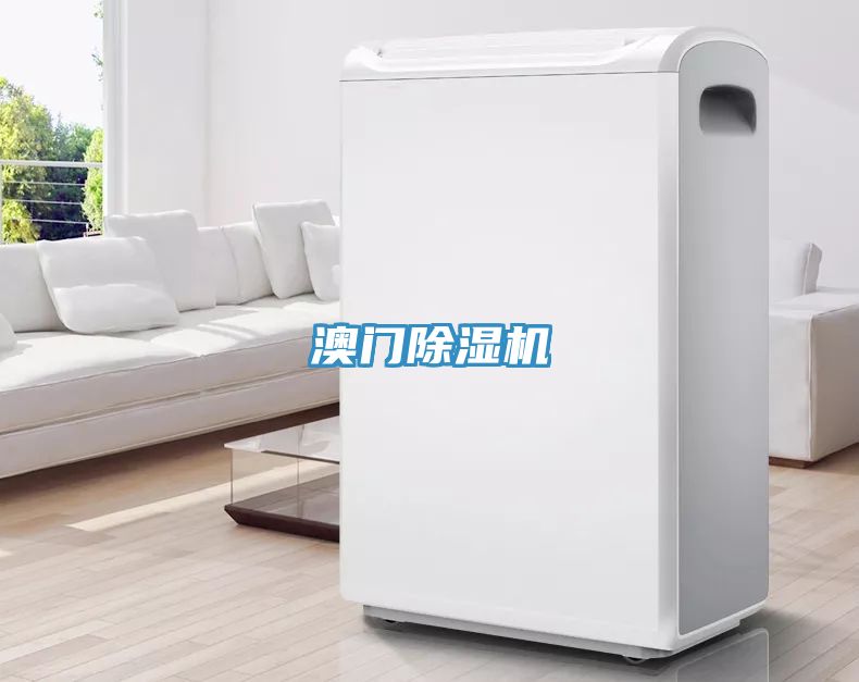 澳门猫咪成人官网