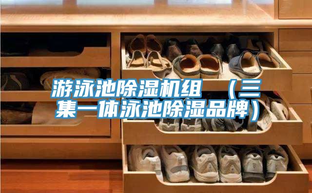 游泳池猫咪成人官网组 （三集一体泳池除湿品牌）
