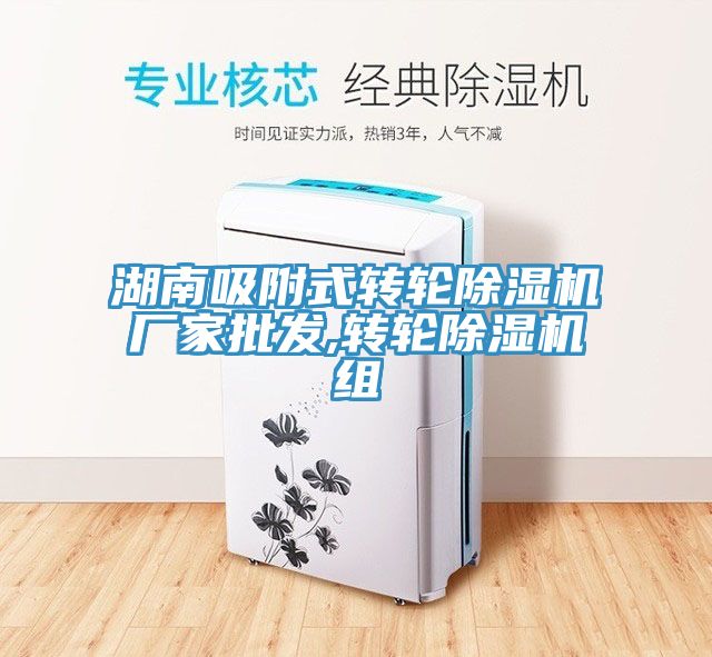 湖南吸附式转轮猫咪成人官网厂家批发,转轮猫咪成人官网组