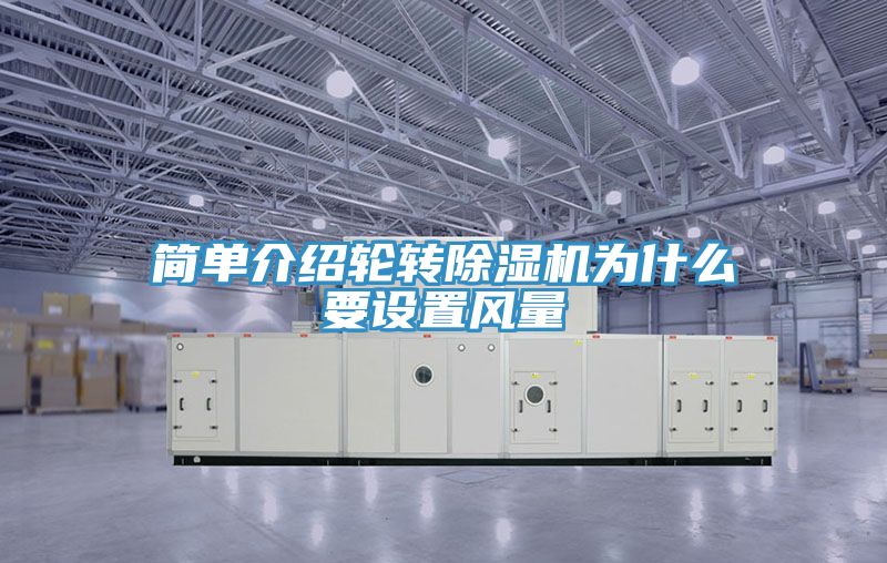 简单介绍轮转猫咪成人官网为什么要设置风量