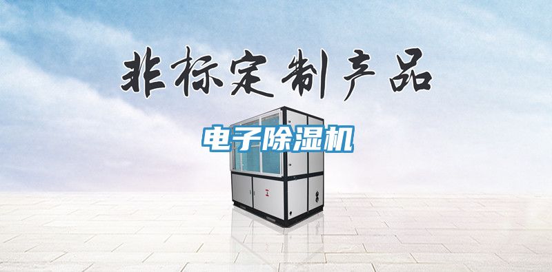 电子猫咪成人官网