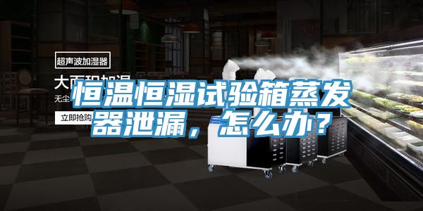 恒温恒湿试验箱蒸发器泄漏，怎么办？