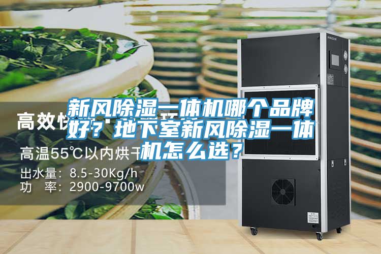 新风除湿一体机哪个品牌好？地下室新风除湿一体机怎么选？
