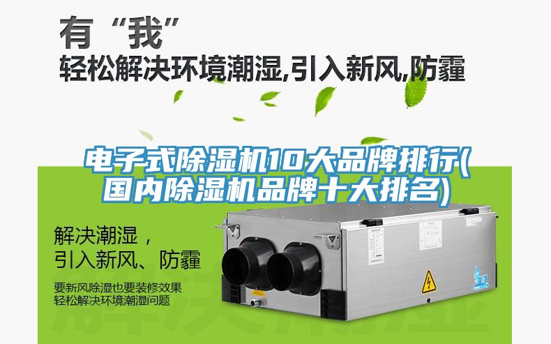 电子式猫咪成人官网10大品牌排行(国内猫咪成人官网品牌十大排名)