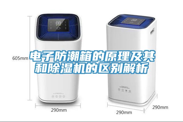 电子防潮箱的原理及其和猫咪成人官网的区别解析