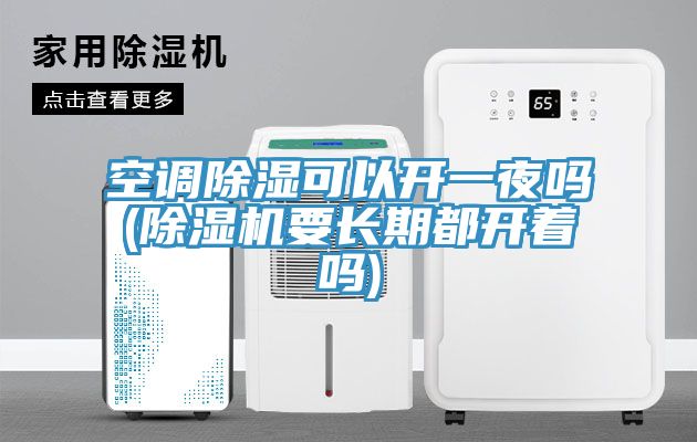 空调除湿可以开一夜吗(猫咪成人官网要长期都开着吗)