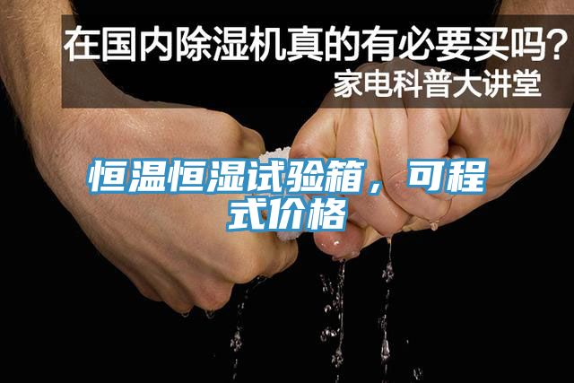 恒温恒湿试验箱，可程式价格