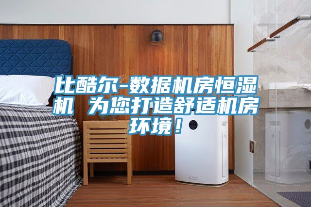 比酷尔-数据机房恒湿机 为您打造舒适机房环境！