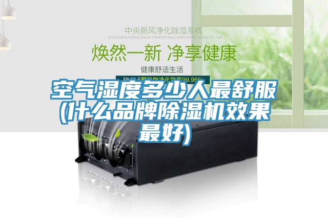 空气湿度多少人最舒服(什么品牌猫咪成人官网效果最好)