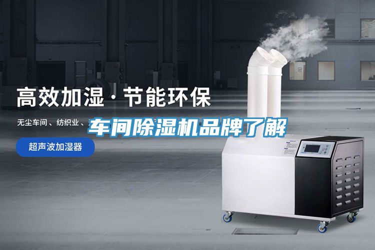 车间猫咪成人官网品牌了解