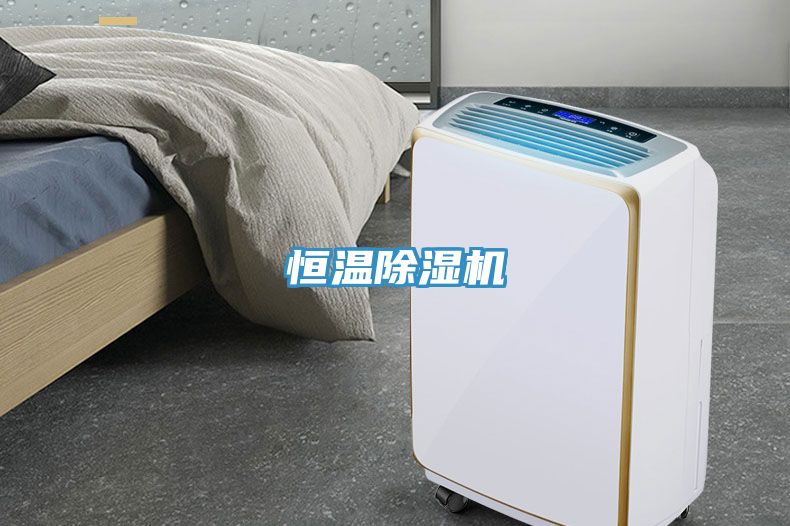 恒温猫咪成人官网