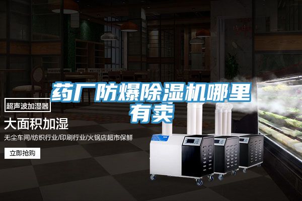 药厂防爆猫咪成人官网哪里有卖