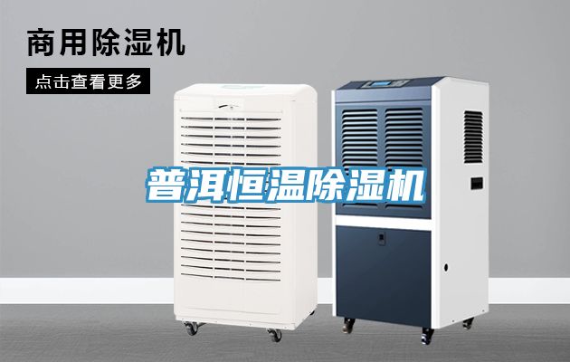普洱恒温猫咪成人官网