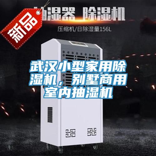 武汉小型家用猫咪成人官网，别墅商用室内抽湿机