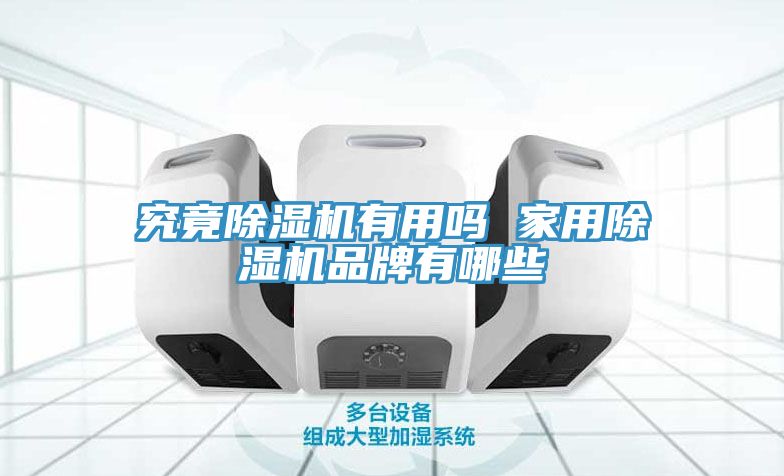究竟猫咪成人官网有用吗 家用猫咪成人官网品牌有哪些