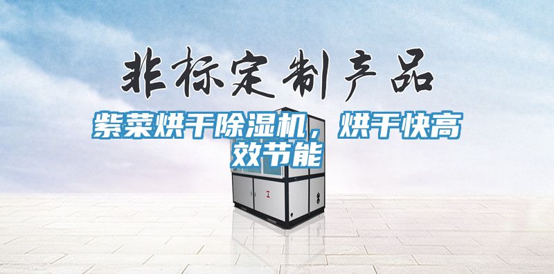 紫菜烘干猫咪成人官网，烘干快高效节能
