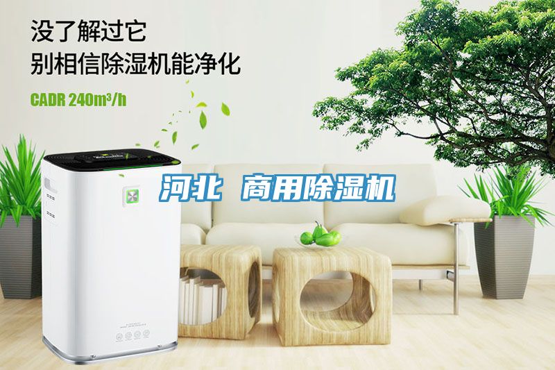 河北 商用猫咪成人官网