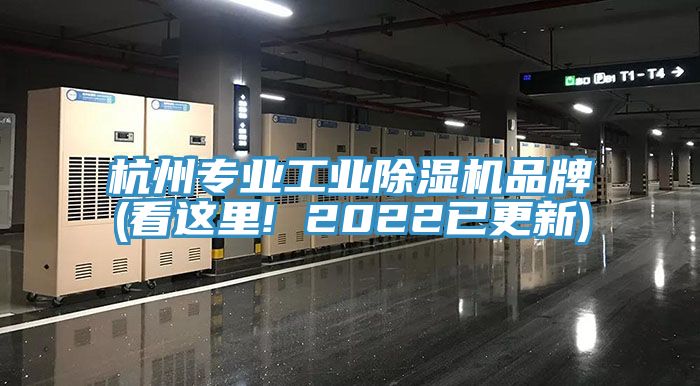 杭州专业工业猫咪成人官网品牌(看这里! 2022已更新)