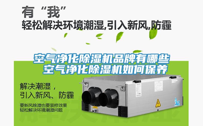 空气净化猫咪成人官网品牌有哪些 空气净化猫咪成人官网如何保养