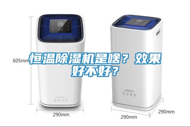 恒温猫咪成人官网是啥？效果好不好？