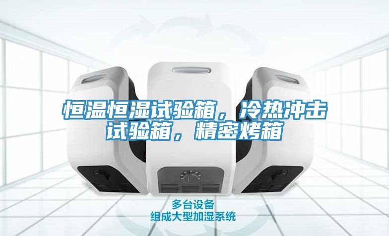 恒温恒湿试验箱，冷热冲击试验箱，精密烤箱