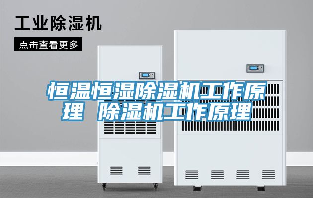 恒温恒湿猫咪成人官网工作原理 猫咪成人官网工作原理