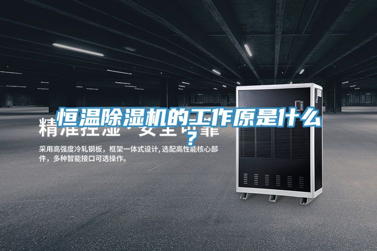 恒温猫咪成人官网的工作原是什么？