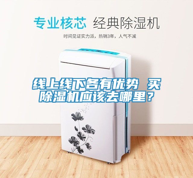 线上线下各有优势 买猫咪成人官网应该去哪里？