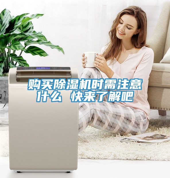 购买猫咪成人官网时需注意什么 快来了解吧